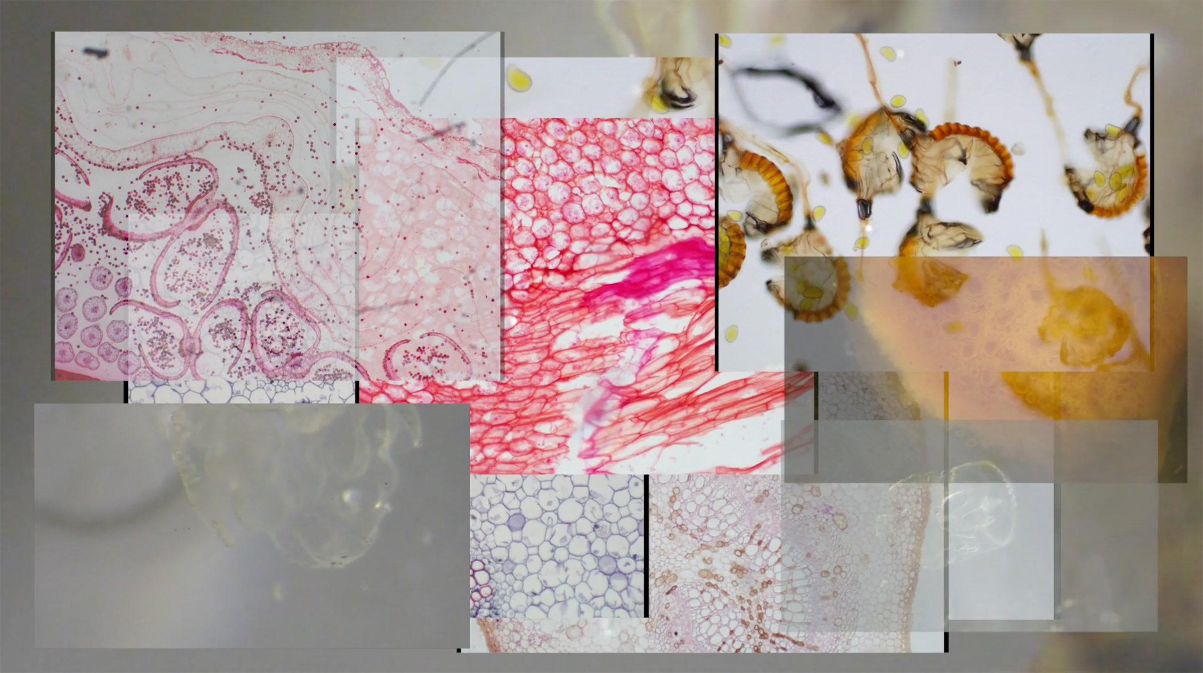 Performance Garten 7