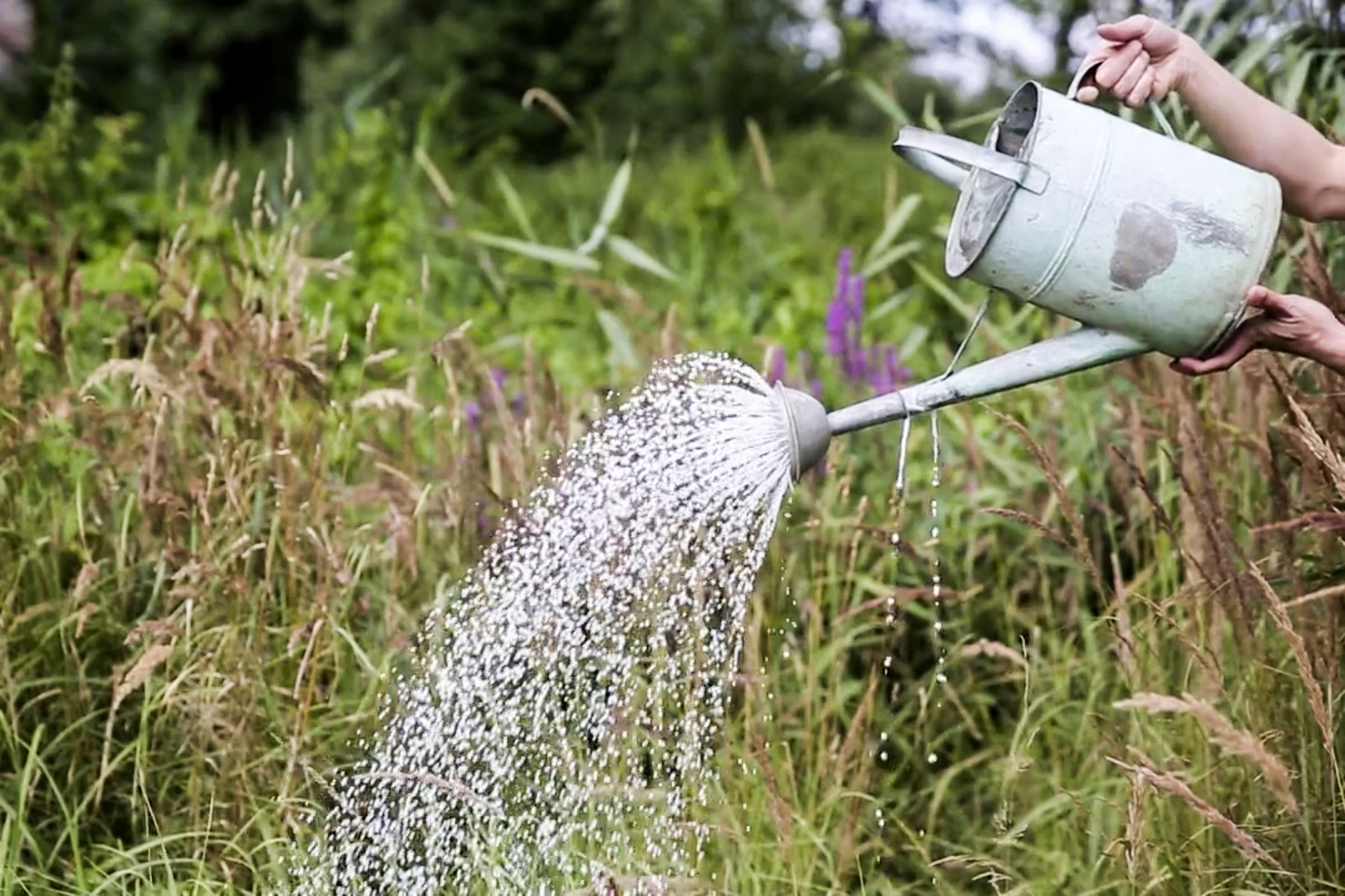 Performance Garten 7