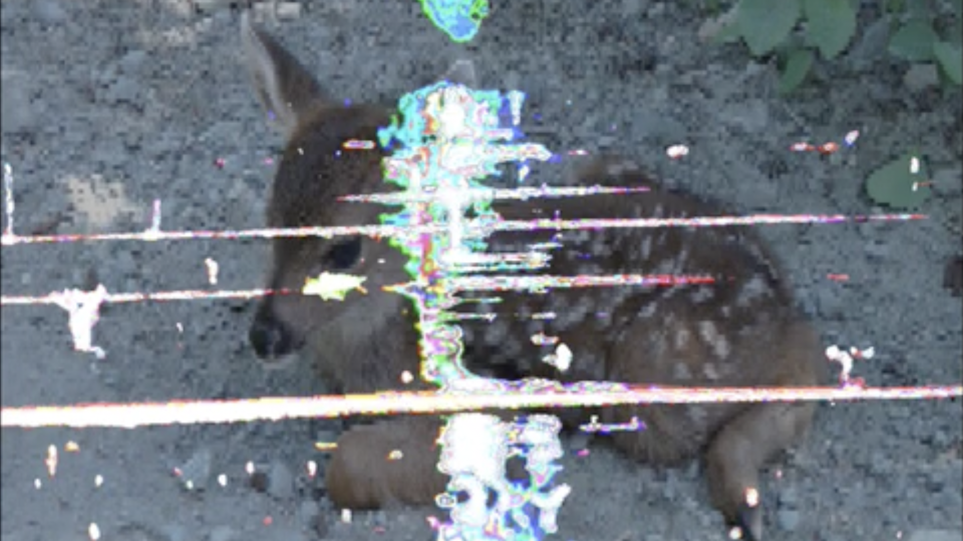 Performance Garten 8