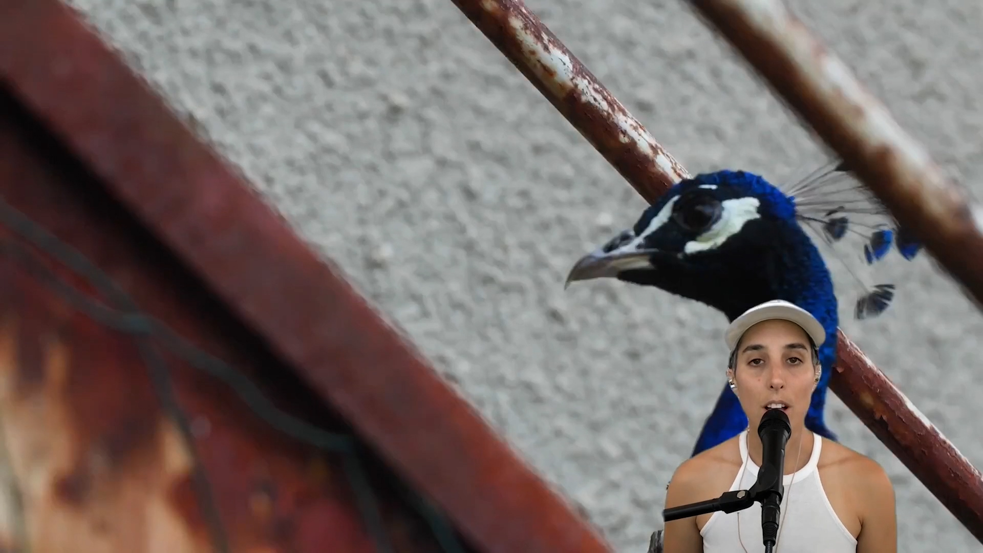 Performance Garten 9